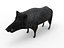 Boar Rigged And Animated low poly