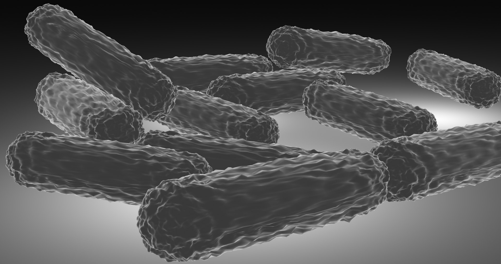 Bacilli Bacteria Model - TurboSquid 1593514