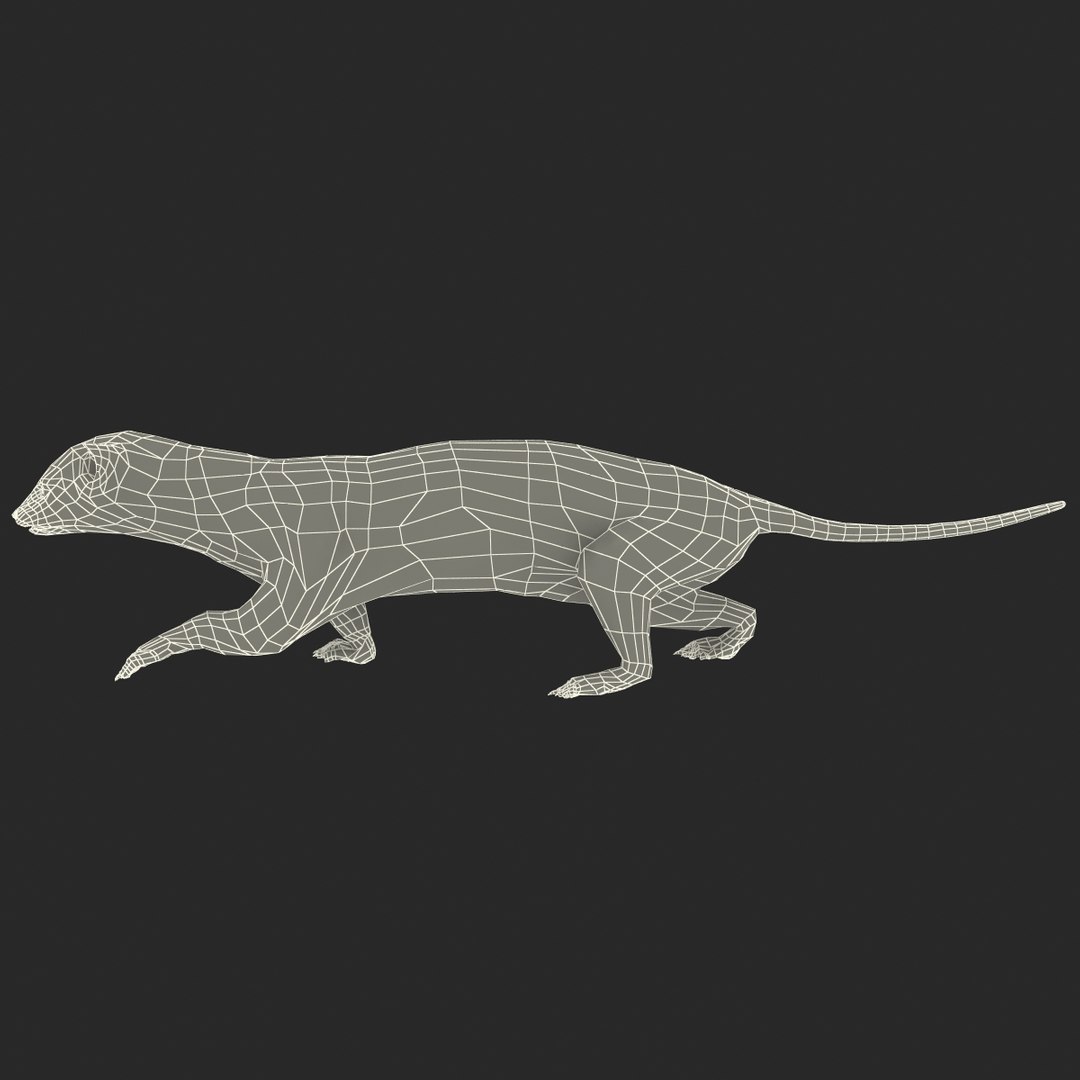 3d max weasel pose 1 https://p.turbosquid.com/ts-thumb/e1/WL1DCI/7ncGNyRc/weaselpose1_17/jpg/1374114110/1920x1080/fit_q87/7cf48850d82010c5c53d6e7fcee635943955813e/weaselpose1_17.jpg