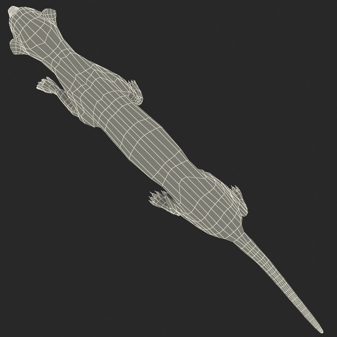 3d max weasel pose 1 https://p.turbosquid.com/ts-thumb/e1/WL1DCI/Onil2NNo/weaselpose1_23/jpg/1374114126/1920x1080/fit_q87/b9bb5521a9eea5828ff341933a425bd64110b7dd/weaselpose1_23.jpg