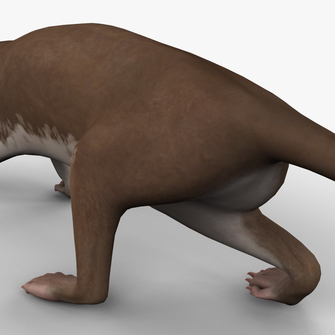 3d max weasel pose 1 https://p.turbosquid.com/ts-thumb/e1/WL1DCI/TPMlf0d5/weaselpose1_15/jpg/1374114106/1920x1080/fit_q87/ee44ab2b5d1d318ff927ee1075ddc45e54a6a1ab/weaselpose1_15.jpg