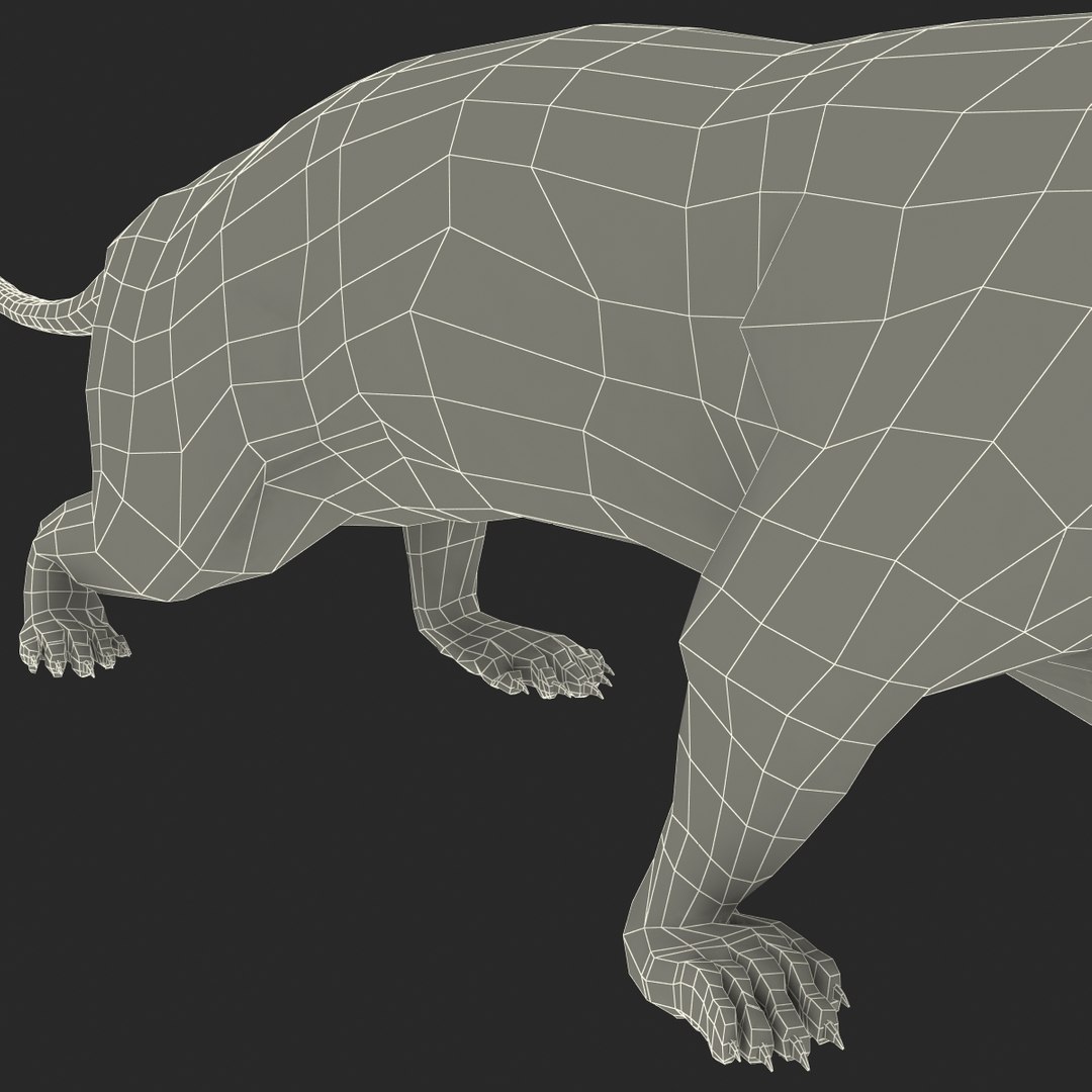 3d max weasel pose 1 https://p.turbosquid.com/ts-thumb/e1/WL1DCI/iegly0ff/weaselpose1_25/jpg/1374114134/1920x1080/fit_q87/bd41202d589683e4601e9ce6ca986fdbd3cd2610/weaselpose1_25.jpg