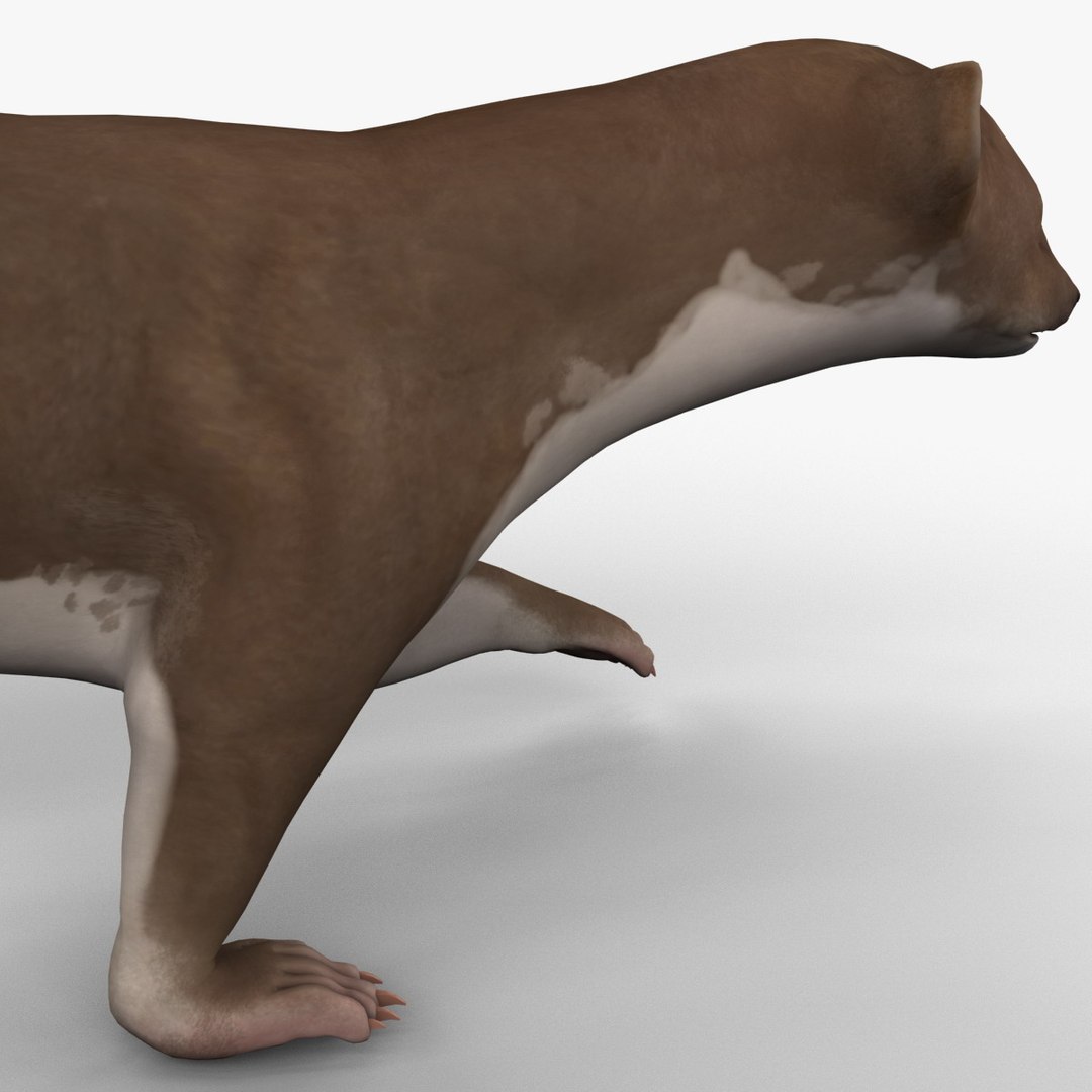 3d max weasel pose 1 https://p.turbosquid.com/ts-thumb/e1/WL1DCI/phyLnW6b/weaselpose1_16/jpg/1374114108/1920x1080/fit_q87/6bd37a08cd22df47f24bfff74d527c1f193559ab/weaselpose1_16.jpg