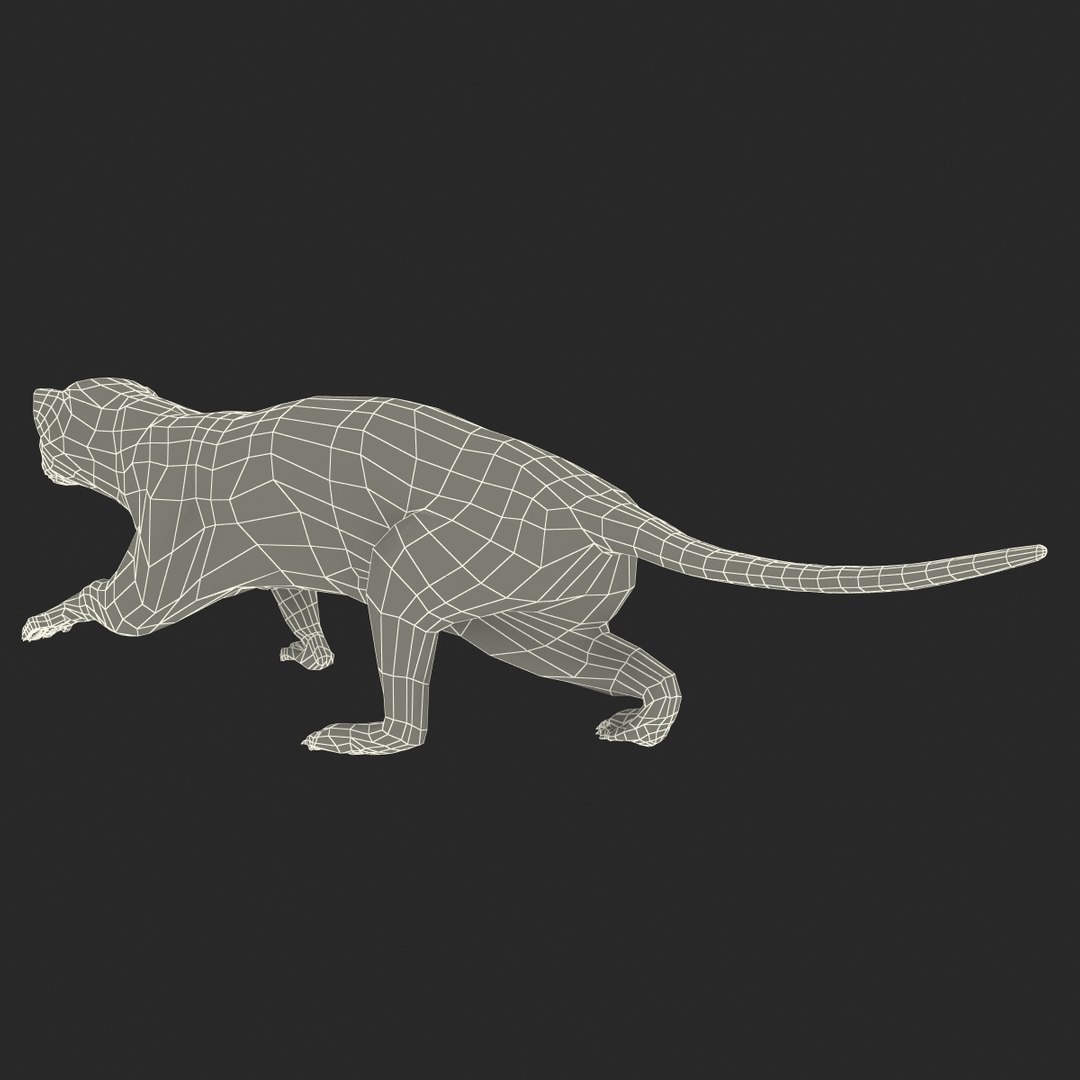 3d max weasel pose 1 https://p.turbosquid.com/ts-thumb/e1/WL1DCI/yx6VGCEm/weaselpose1_22/jpg/1374114123/1920x1080/fit_q87/e2766eb795d17a9434fa0b3e943886337275acc2/weaselpose1_22.jpg