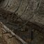See Through Concrete Tunnel Scene
