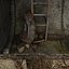 See Through Concrete Tunnel Scene