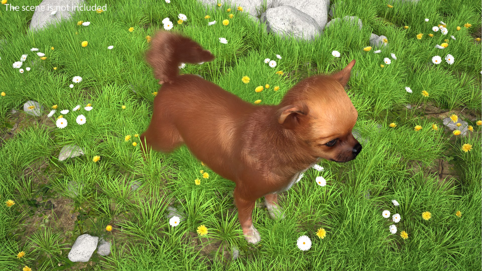 3D meadow blooming flowers model https://p.turbosquid.com/ts-thumb/e2/33JIoV/6ETnkYTE/meadowwithbloomingflowers3dsmodel003/jpg/1585565000/1920x1080/fit_q87/679ff9bbd281842229ee8bb7a87806721de7fa58/meadowwithbloomingflowers3dsmodel003.jpg