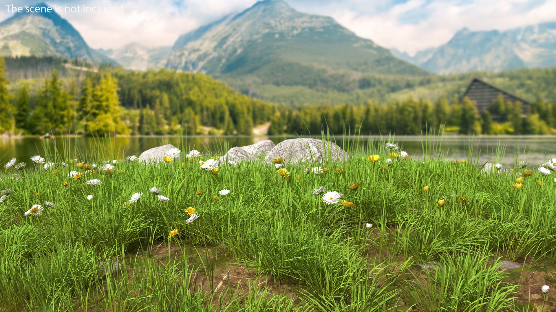 Meadow with Blooming Flowers 3D model preview
