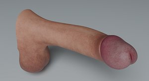 Realistic Penis  Lowpoly Rigged PBR 4k model