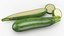 Fresh Green Zucchini Slices 5