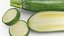 Fresh Green Zucchini Slices 5