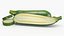 Fresh Green Zucchini Slices 5