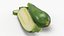 Fresh Green Zucchini Slices 5