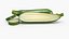Fresh Green Zucchini Slices 5