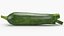 Fresh Green Zucchini Slices 5