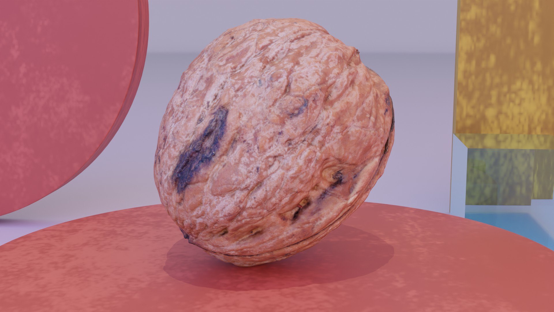 3D Walnut fruit 05 high-poly 3D model model - TurboSquid 1839789