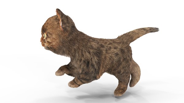 3D Fur Cute Cat Kitten 01 Animated model