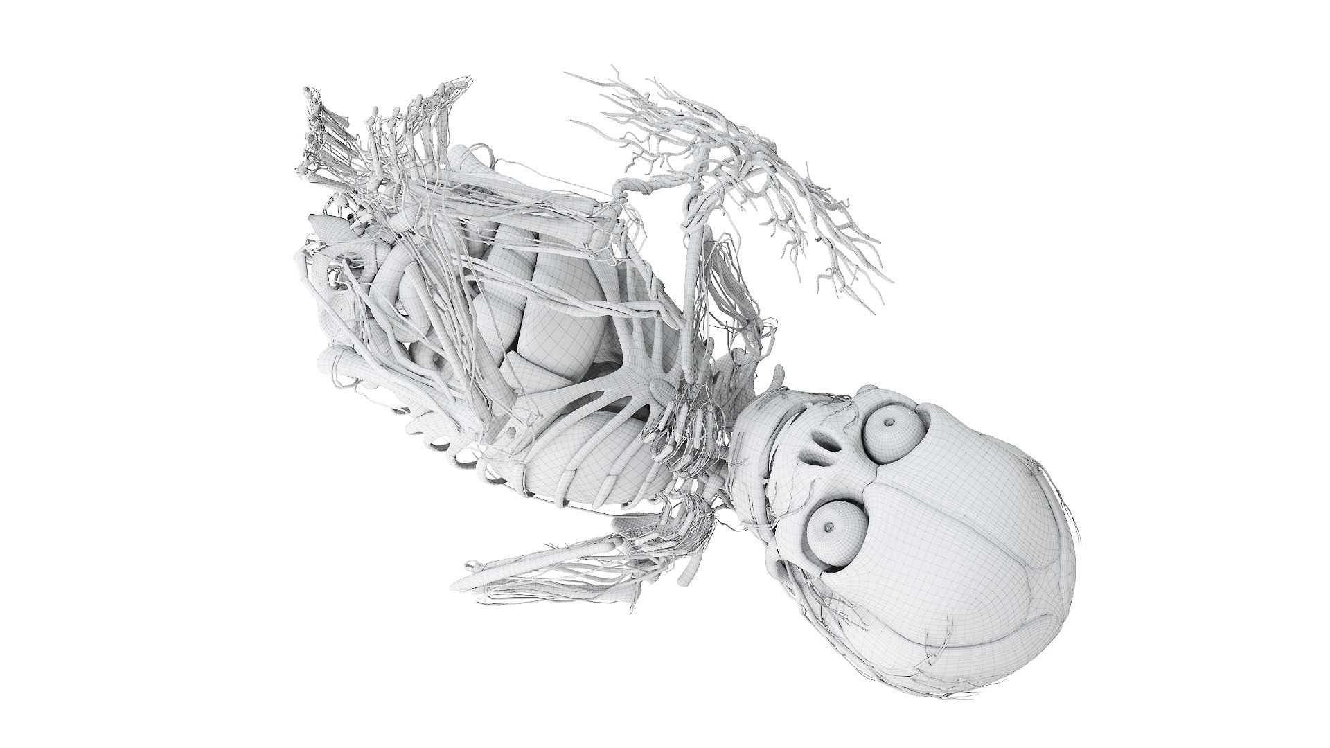 3D Fetus Anatomy Week 40 Animated model https://p.turbosquid.com/ts-thumb/e2/kRtfgE/sl/fetus_week40f_anatomy_wire0004/jpg/1631872452/1920x1080/fit_q87/c9c0fae041b7f0c4775e1e929e129103b8d1e3a2/fetus_week40f_anatomy_wire0004.jpg