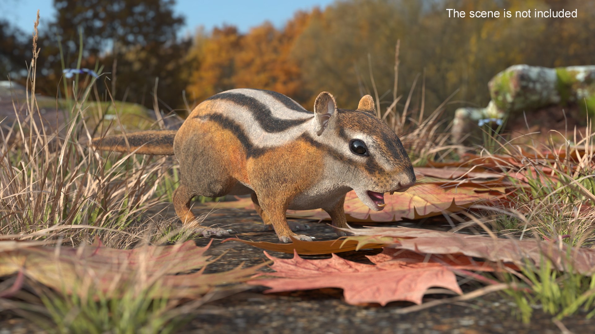 3D Wild Chipmunk Mammal model https://p.turbosquid.com/ts-thumb/e2/nNRvZB/Hp/wild_chipmunk_mammal_002/jpg/1753058189/1920x1080/fit_q87/e365e1d06b39f56182b1ce64f35b202f413805ac/wild_chipmunk_mammal_002.jpg