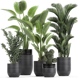 3D plants interior houseplants