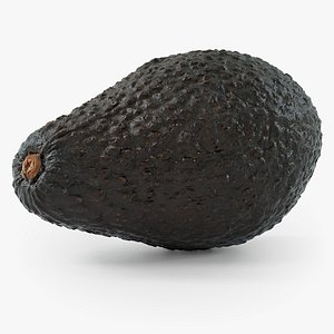 3D Avocado Whole model