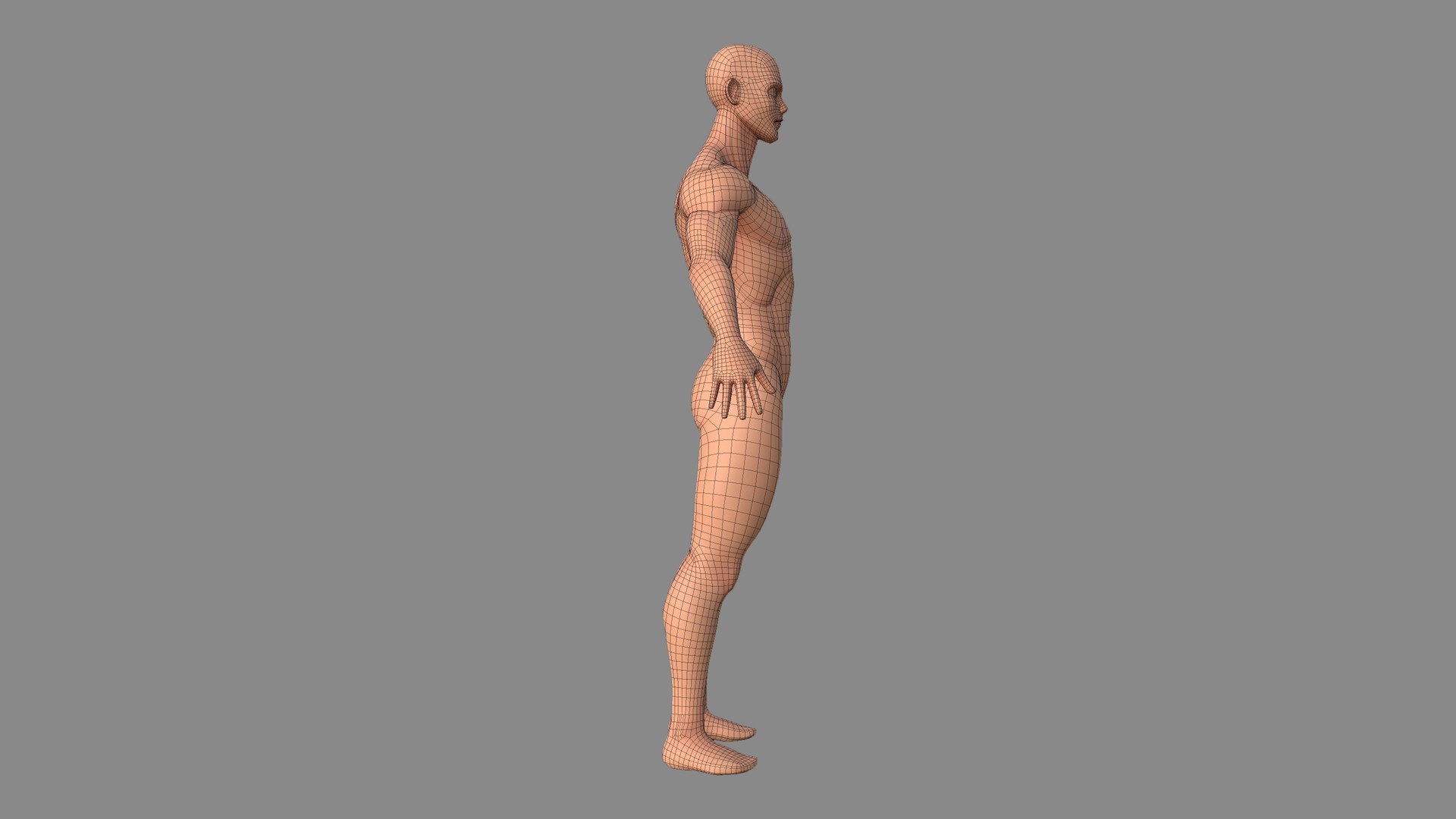 3D character male body base model https://p.turbosquid.com/ts-thumb/e2/yJhEGG/I9cTqI9C/malebasestylized_31/jpg/1578830742/1920x1080/fit_q87/6452caee7ca160b2e2b12a8fbab63a0af05aef67/malebasestylized_31.jpg