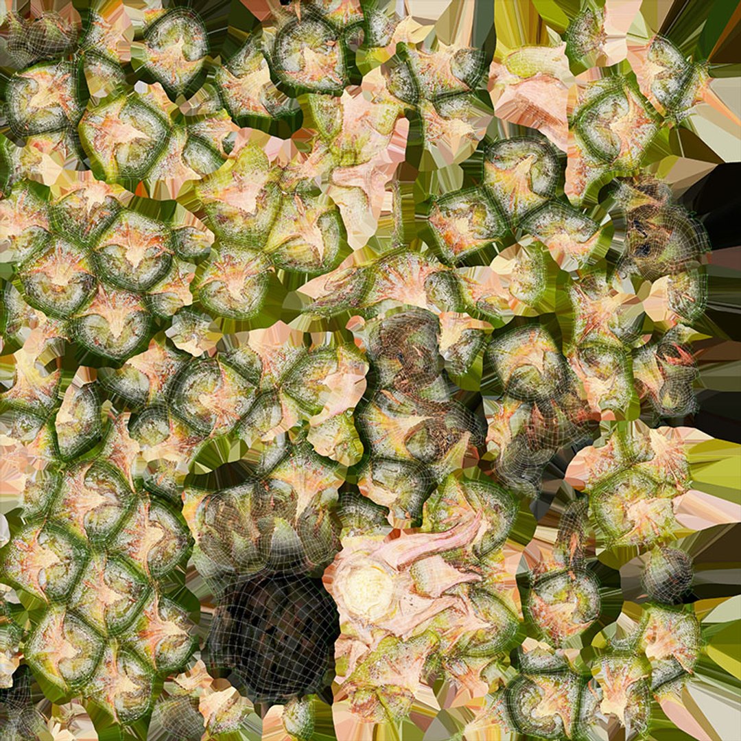 Pineapple Collection 2 3D model https://p.turbosquid.com/ts-thumb/e3/2W47Rj/5W/pineapplepw_d0004/jpg/1687445528/1920x1080/fit_q87/63d3e198efa623624f2dc172ad3f4515c46d6838/pineapplepw_d0004.jpg