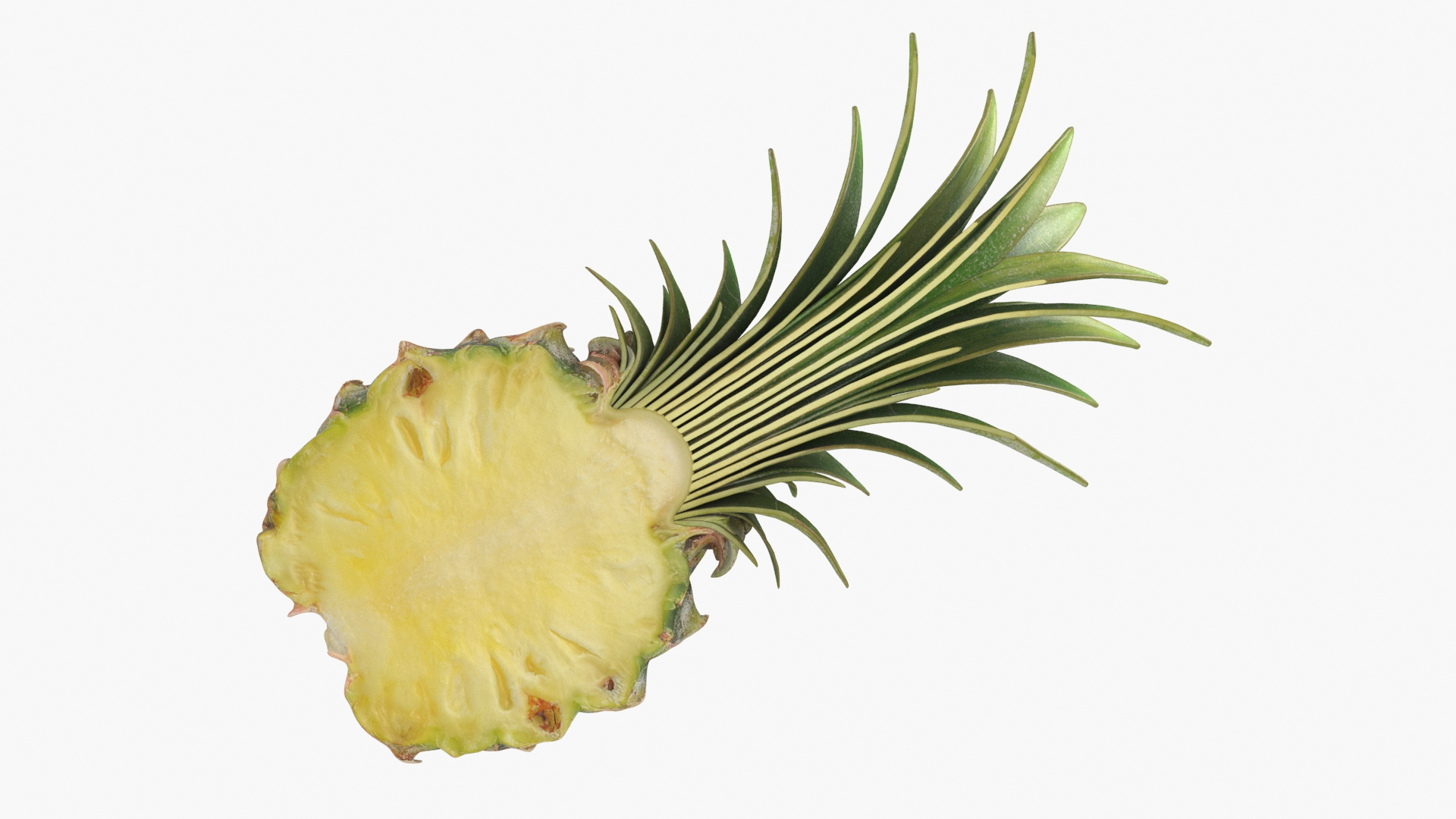 Pineapple Collection 2 3D model https://p.turbosquid.com/ts-thumb/e3/2W47Rj/AF/pineappleph/jpg/1687448066/1920x1080/turn_fit_q99/bf034650f33fd99996d1ecee989c4c14f37a25fb/pineappleph-1.jpg