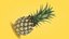 Collection d'ananas 2