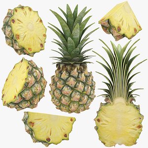 Pineapple Collection 2