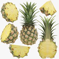 Pineapple Collection 2