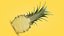 Collection d'ananas 2