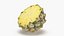 Collection d'ananas 2