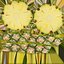 Collection d'ananas 2