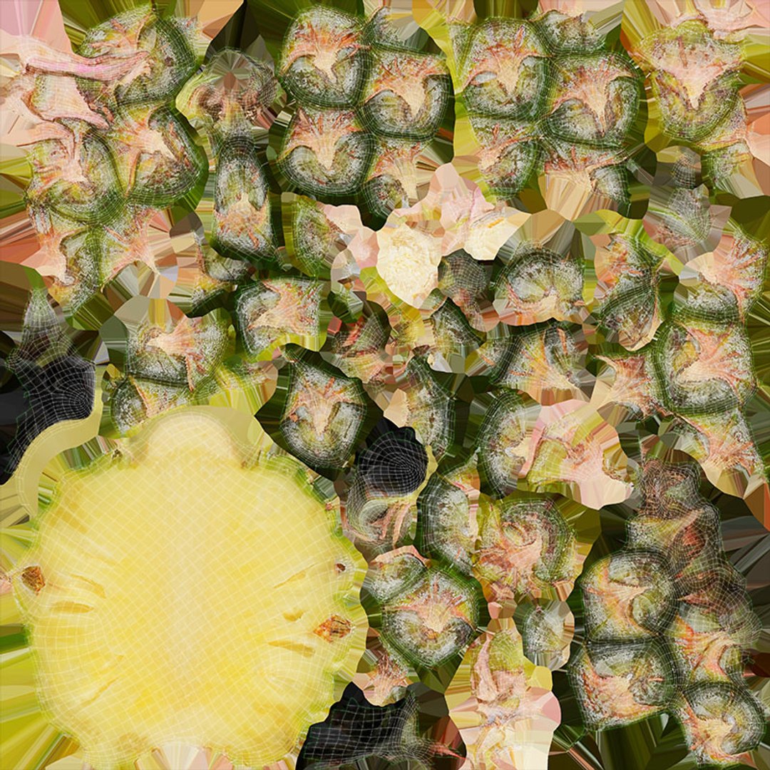 Pineapple Collection 2 3D model https://p.turbosquid.com/ts-thumb/e3/2W47Rj/u2/pineappleph_d0004/jpg/1687448060/1920x1080/fit_q87/d174088ff1fed77eca7844ed6d87dd9a1620ec77/pineappleph_d0004.jpg