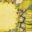 Collection d'ananas 2