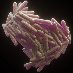 3D model mycobacterium tuberculosis