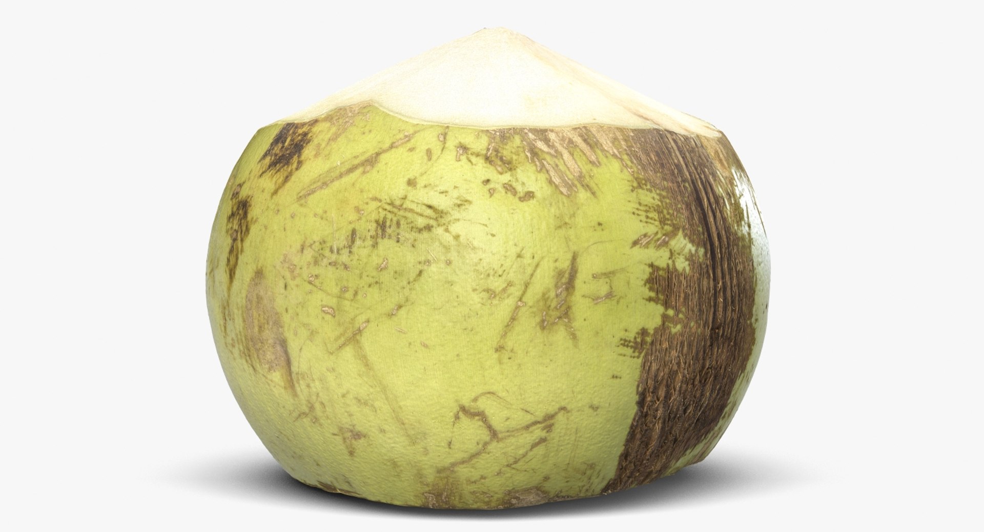 3d Green Coconut 4 Model