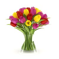 Three-color Tulips