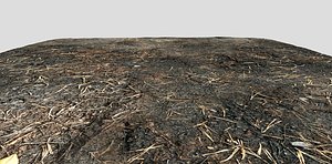 Terrain - Burn Ground - PBR - seamless