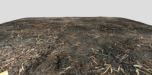 Terrain - Burn Ground - PBR - seamless