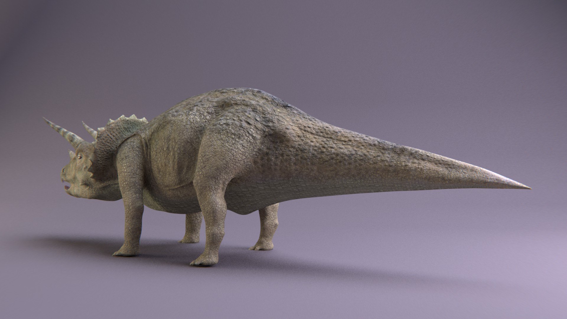Triceratops 3D Model - TurboSquid 1724355