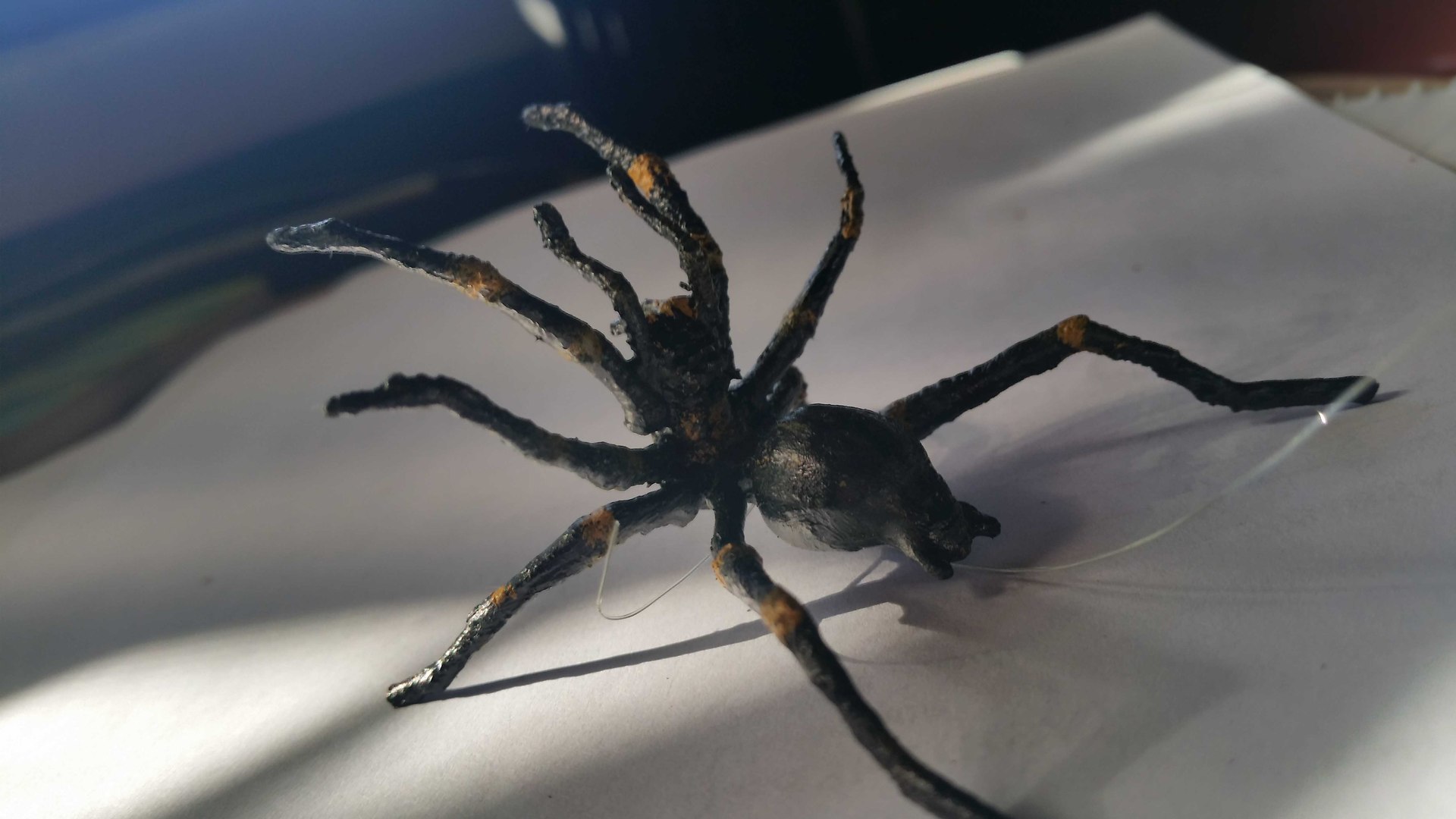 Rearing Spider 3D Model - TurboSquid 1193097