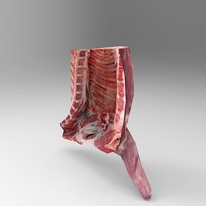 3d Meat Model