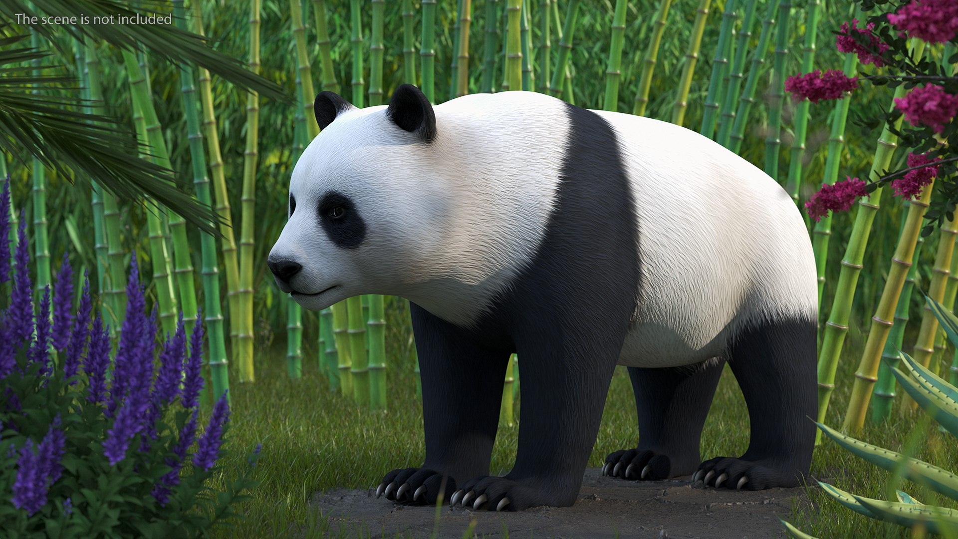 Giant Panda Rigged For Modo 3D Model - TurboSquid 1852724