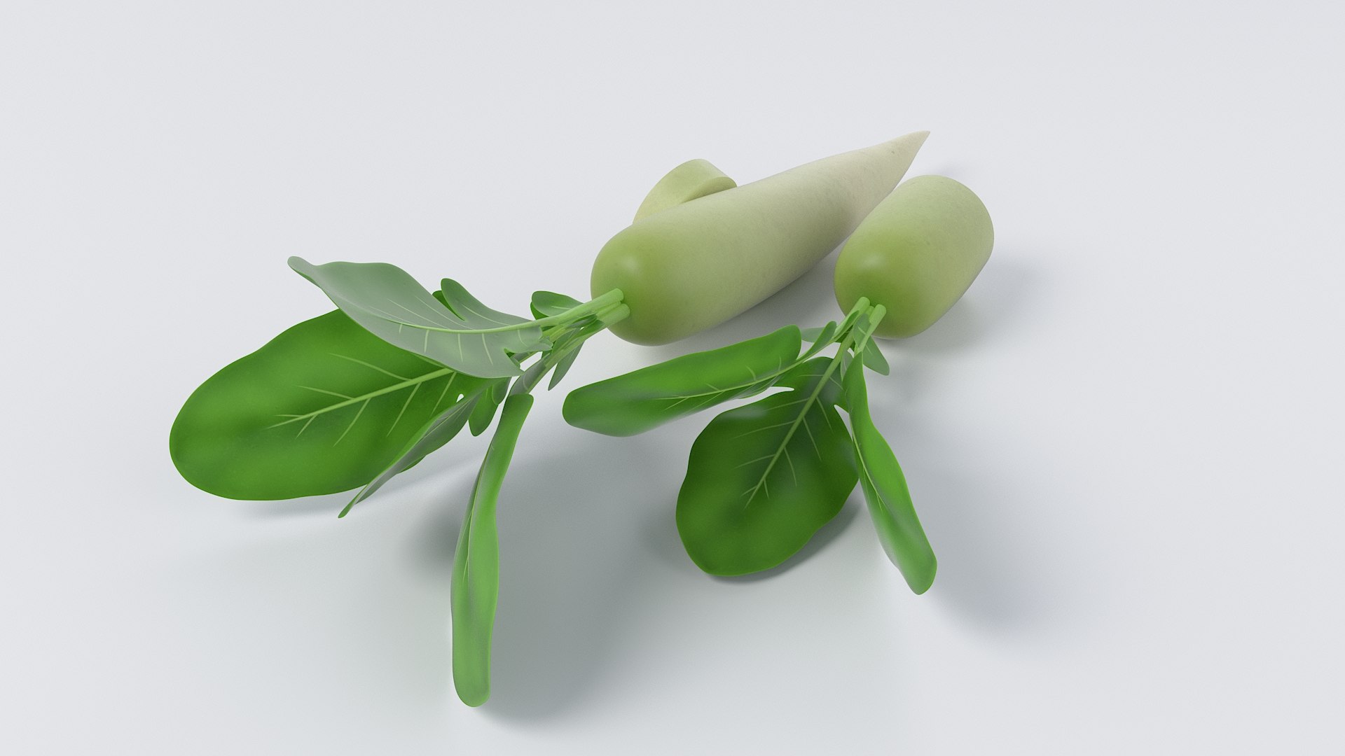 Cartoon White Radish model https://p.turbosquid.com/ts-thumb/e3/x1btX4/74/white_radish_05/jpg/1685511843/1920x1080/fit_q87/b2b5dd63e2e2f723896495c9ca753130a9699f17/white_radish_05.jpg