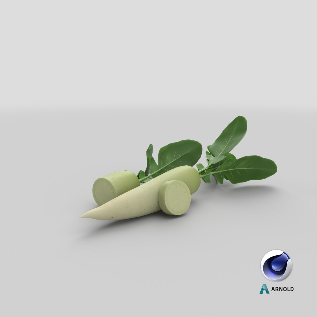 Cartoon White Radish model https://p.turbosquid.com/ts-thumb/e3/x1btX4/GP/stemcell_cinema_4d_arnold_render/png/1686565271/1920x1080/fit_q87/6fafe25c5c237f920115b8bfd374e8530ffe947b/stemcell_cinema_4d_arnold_render.jpg