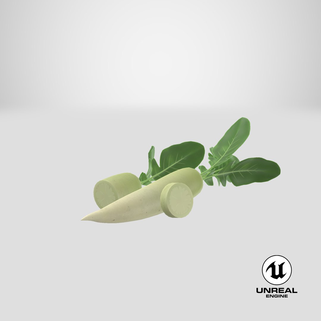 Cartoon White Radish model https://p.turbosquid.com/ts-thumb/e3/x1btX4/Qo/stemcell_unreal_render/png/1686565268/1920x1080/fit_q87/a7acedc93e20e6cac8085890b124a9390d154d15/stemcell_unreal_render.jpg