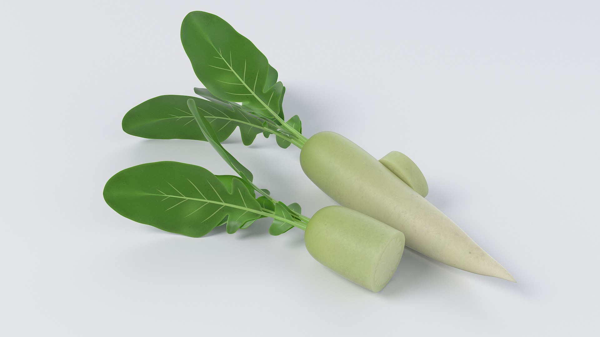 Cartoon White Radish model https://p.turbosquid.com/ts-thumb/e3/x1btX4/bL/white_radish_04/jpg/1685511843/1920x1080/fit_q87/cd61714edb6fe702428f91990b8c3a771b60c338/white_radish_04.jpg