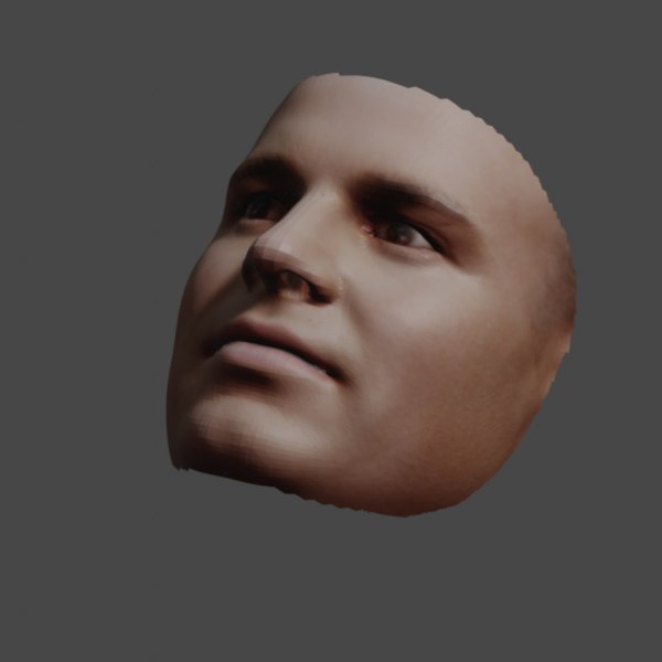3D model Mark Ruffalo Face - R1